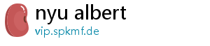 nyu albert